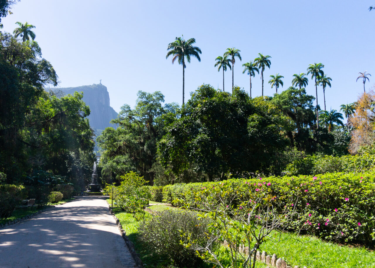 jardim-botanico-rio-1280x914-1 Jardim Botanico Rio de Janeiro