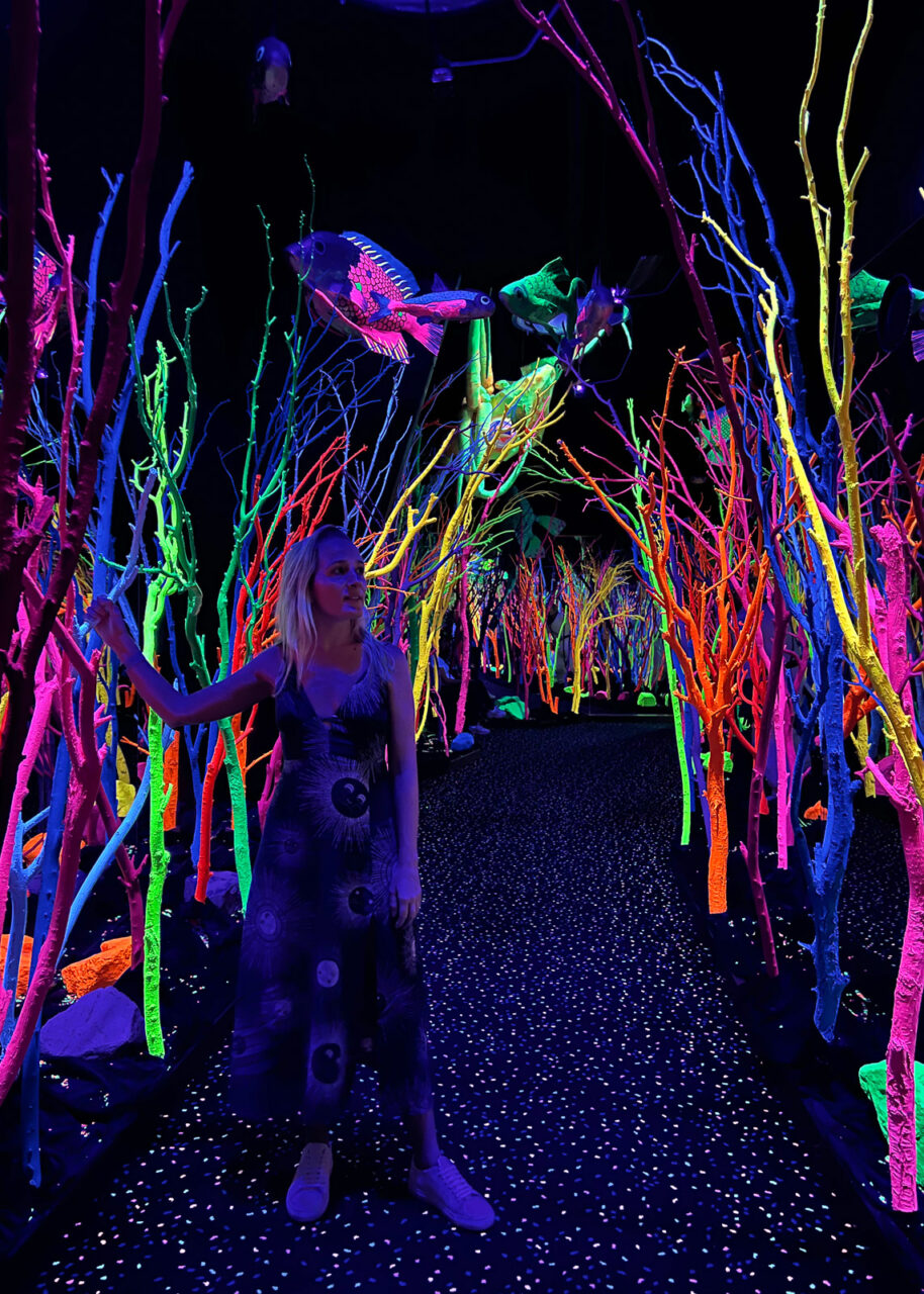 Meow Wolf Santa Fe