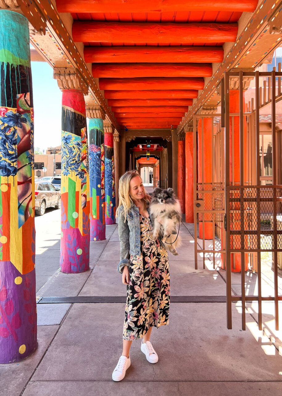 Santa Fe with a dog